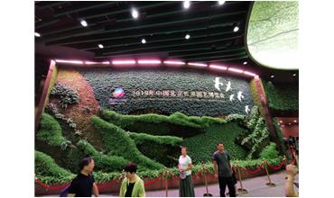 2019北京世園會，我們來啦